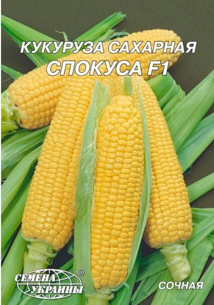 Семена кукурузы Спокуса 20 г, Семена Украины - фото 1 - id-p749132745
