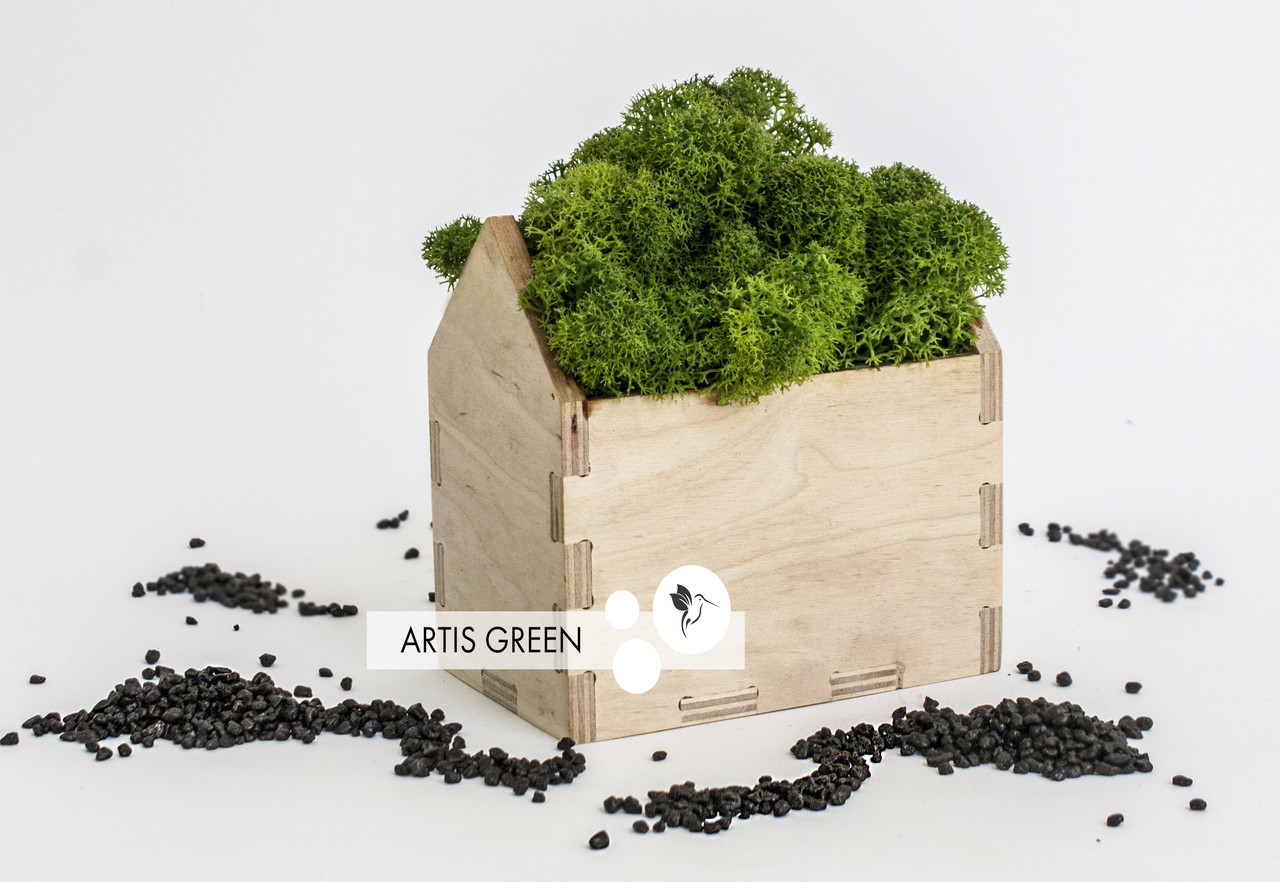 Сувенір зі стабілізованим мохом Moss Houses Green, S79