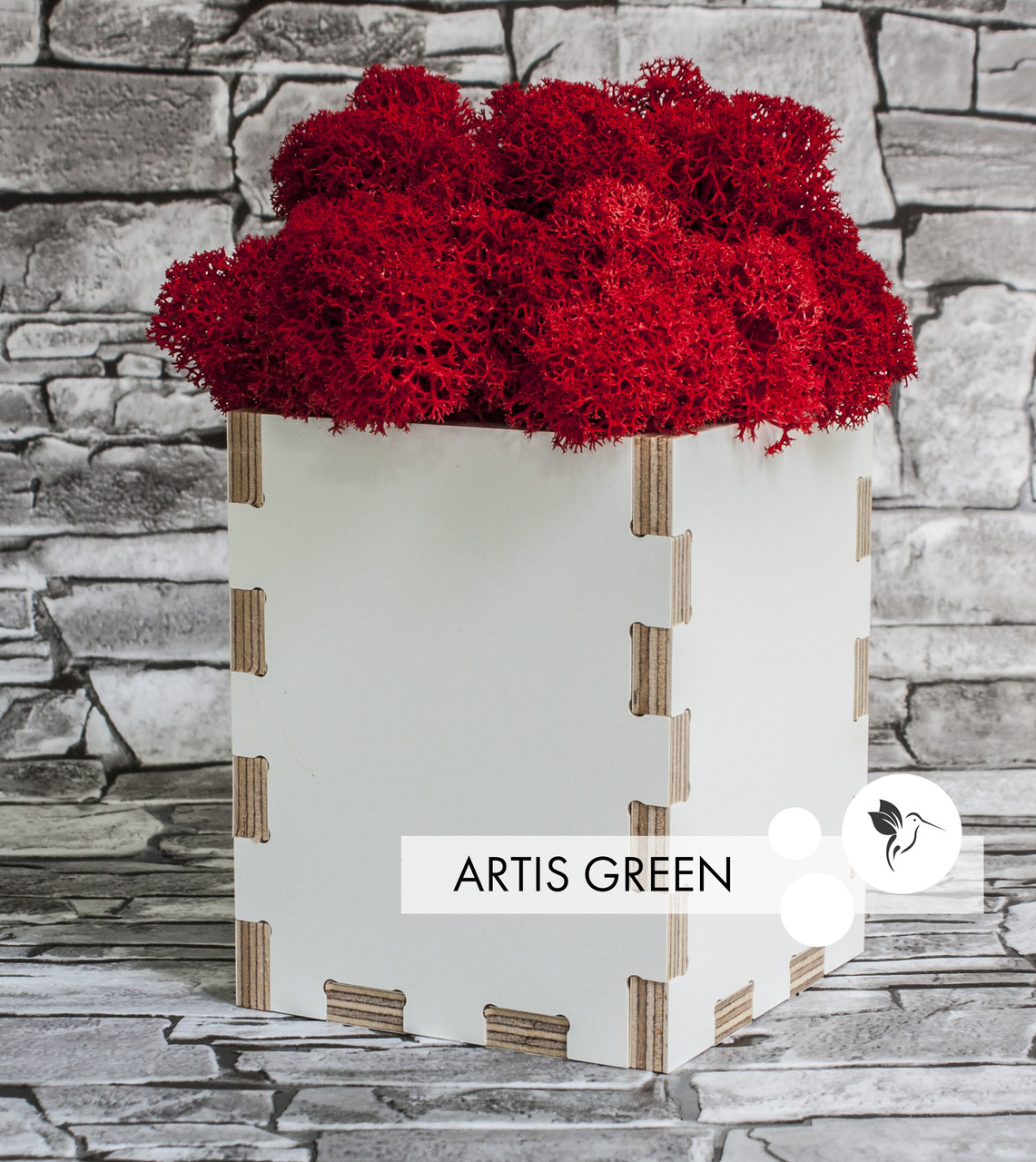 Сувенір з ламінованої фанери з мохом Red Moss&White Wood, S80, фото 1