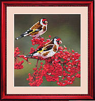 На горобині