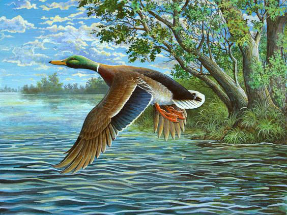 Набір для викладання алмазною мозаїкою Качка над річкою DM-174