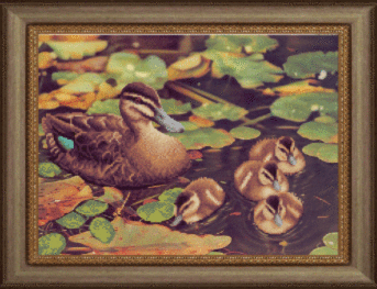 Схеми для вишивання бісером на авторській канві качки СБ-194