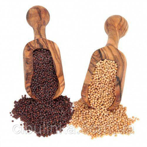 Суміш на сидерат — Гірчиця Жовта + Гречиха + Рапс + Горох + Соя., фото 1