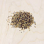 Суміш на сидерат — Гірчиця Жовта + Гречиха + Рапс + Горох + Соя., фото 2