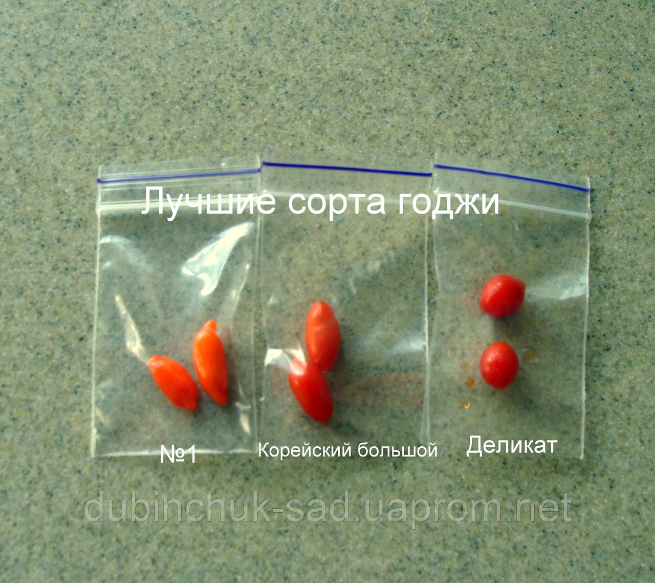 Семена годжи в ягодах - фото 2 - id-p13828855