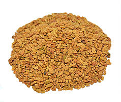 Пажитник насіння (Фенугрек, Шамбала)