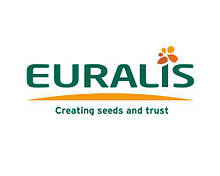 Euralis (Євраліс)