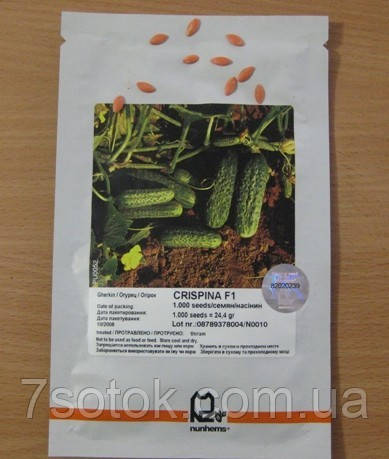Семена огурца Криспина F1 (Crispina F1), 1000 семян - фото 2 - id-p813209