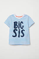 Детская футболка для девочки BIG SIS 2-4 года