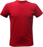 Пошиття дитячих футболок гуртом із нанесенням логотипів і малюнків., фото 2