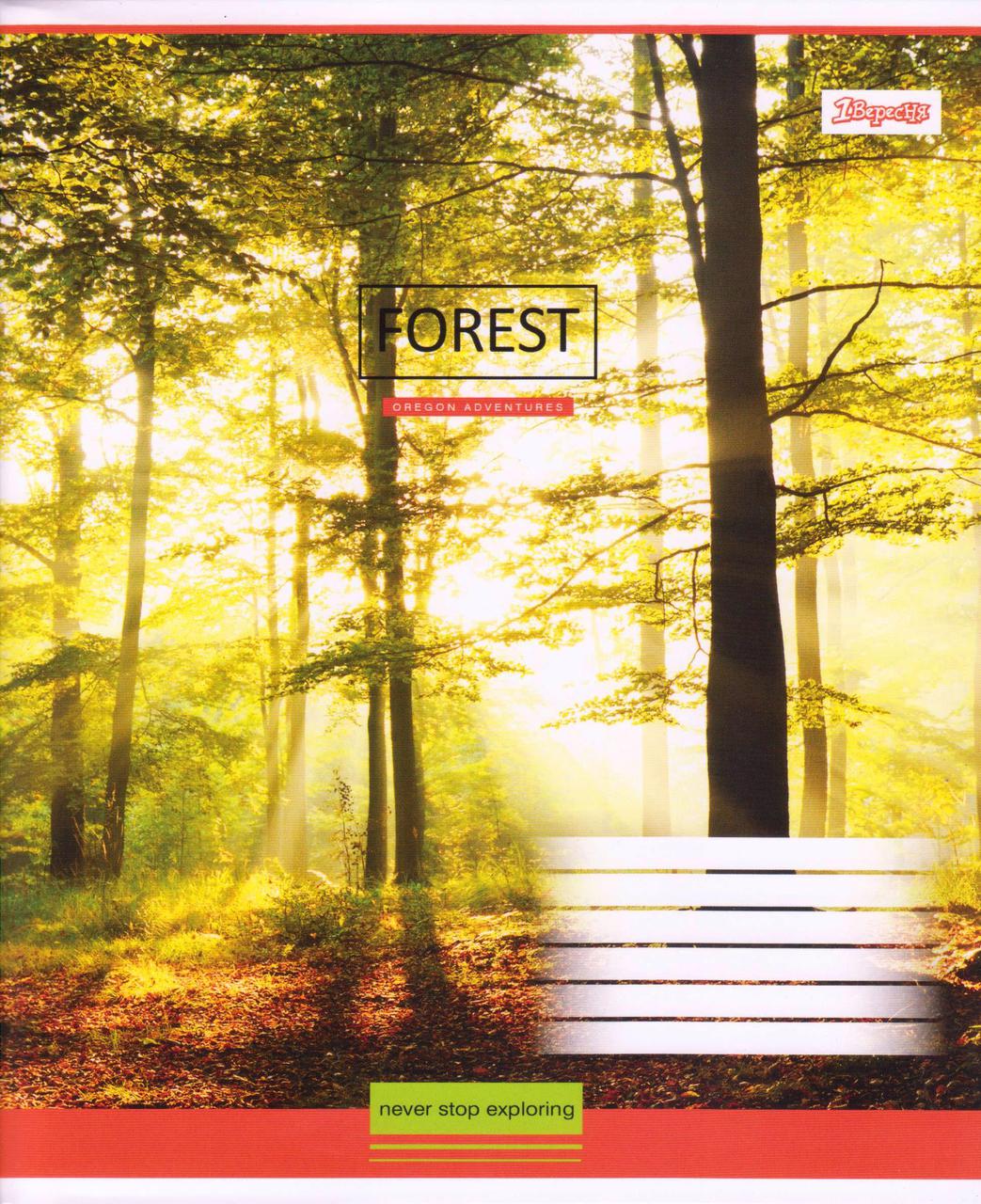 Зошити 96 арк. лінія "Forest"