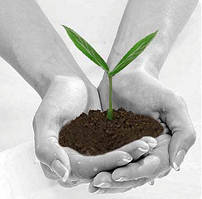 Ґрунт для теплиць