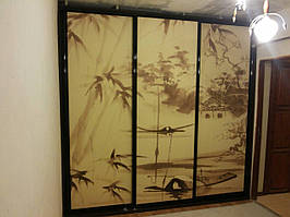 Шафа купе на замовлення Z-157