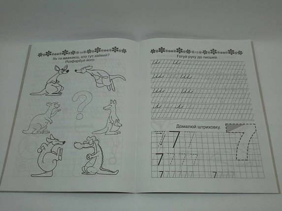 Талант Прописи 4+ Пішемо букви, фото 3