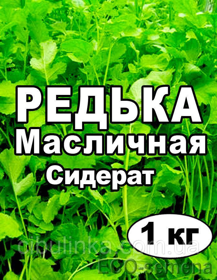Насіння Редька олійна - сидерат 1 кг (на вагу), фото 1