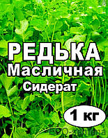 Насіння Редакція олійне, сидерат, на розліс