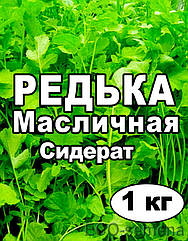 Насіння Редька олійна - сидерат 1 кг (на вагу)