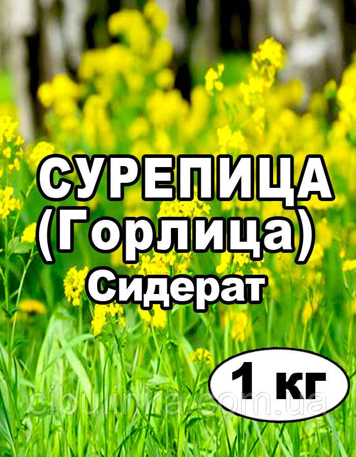 Насіння Сурепиця (Горлиця) не очищене, сидерат, на сувіс від 1 кг, фото 1