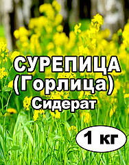 Насіння Сурепиця (Горлиця) не очищене, сидерат, на сувіс від 1 кг