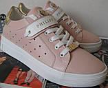 Стильні! У стилі Філіп Плейн жіночі кеди шкіра перфорація Philipp Plein сліпони рожева пудра, фото 5