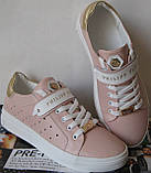 Стильні! У стилі Філіп Плейн жіночі кеди шкіра перфорація Philipp Plein сліпони рожева пудра, фото 6