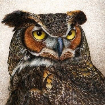 Набір для викладання алмазною мозаїкою Хижий погляд DM-066