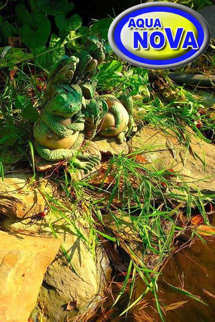 Садова фігурка фонтан АкваНова Пара жаб