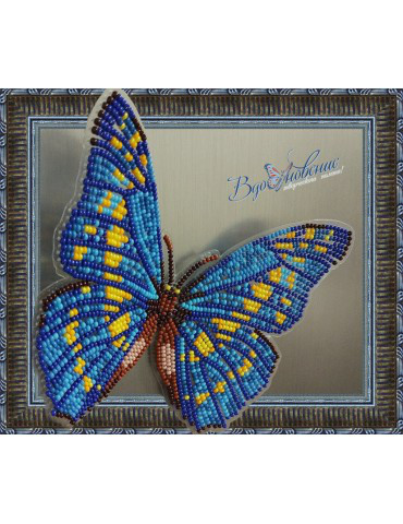 Набір для вишивання бісером на прозорій основі Метелик Морфо Кіпріда BGP-010