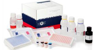 Ingezim ADV gE plus. Тест-система для серодіагностики антитіл (глікопротеїн gE) до вірусу хвороби Ауєски - фото 1 - id-p751743815