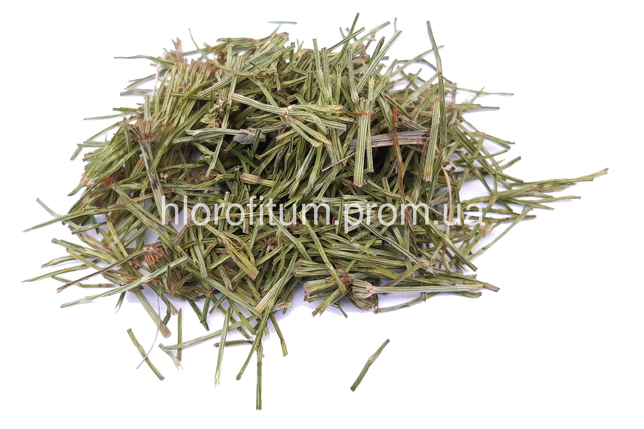 Хвощ польовий 50 грамів (Equisetum palustre), трава