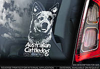 Австралийский Хилер (австралийская пастушья собака) (Australian CattleDog) стикер