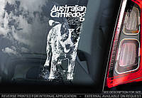 Австралийский Хилер (австралийская пастушья собака) (Australian CattleDog) стикер