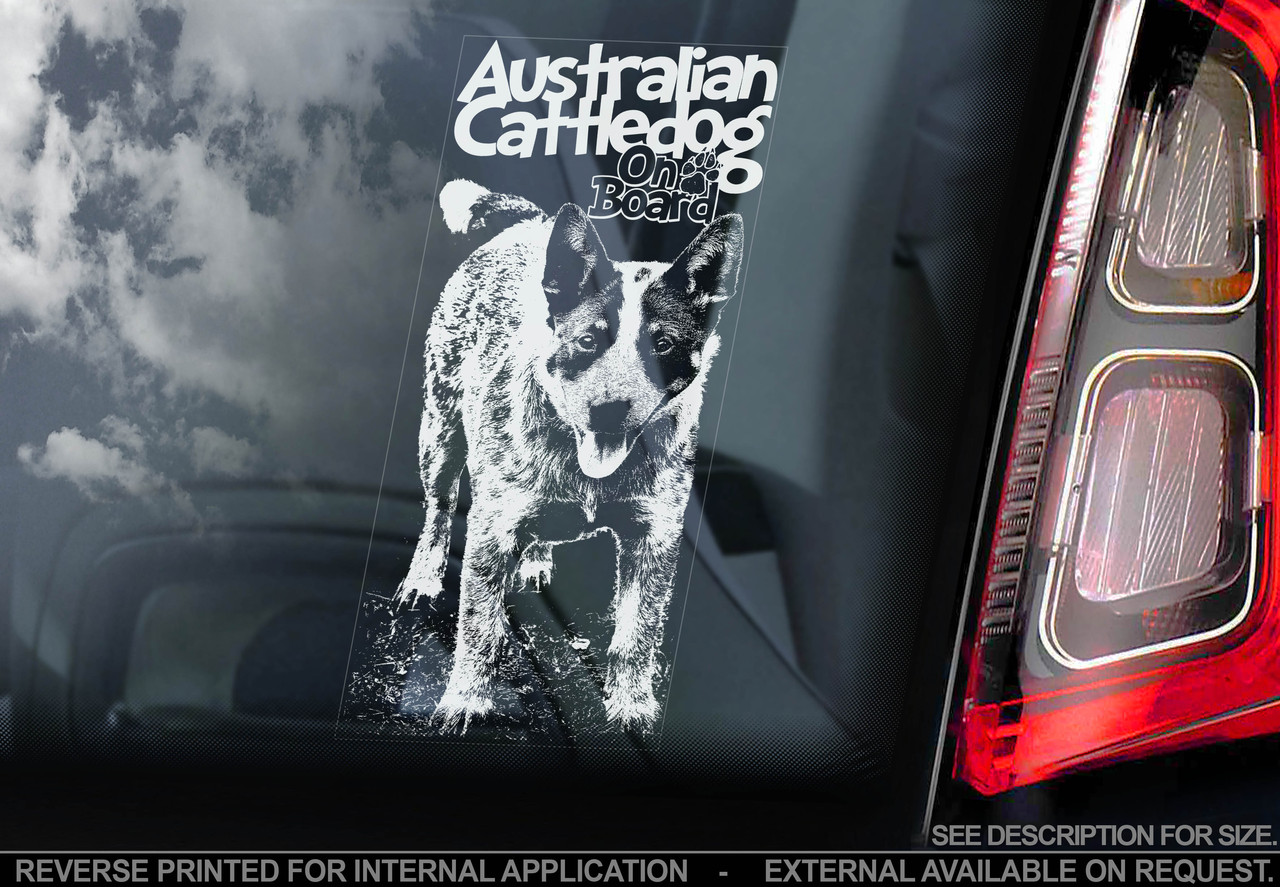Австралийский Хилер (австралийская пастушья собака) (Australian CattleDog) стикер - фото 1 - id-p60960297