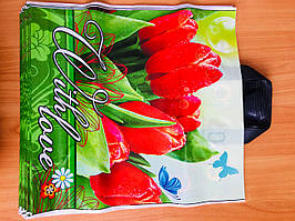 Пакет поліетиленовий із петльовою ручкою Тюльпани 38*43 см