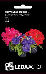 Насіння петунії Містрал F1, 10 шт., суміш грандифлора