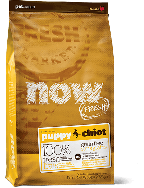Сухий корм для цуценят Now Fresh Puppy Recipe Grain Free з індичкою, качкою і лососем 11.34 кг