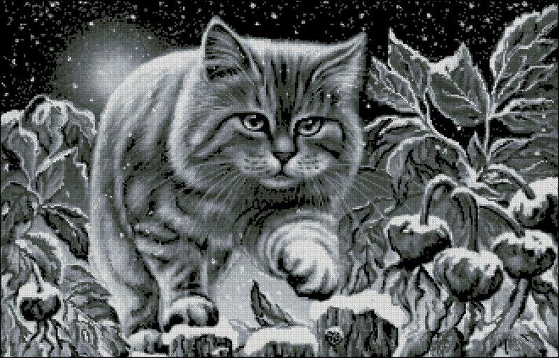 Схема вишивки бісером на габардині Нічний кіт  А-2-002+