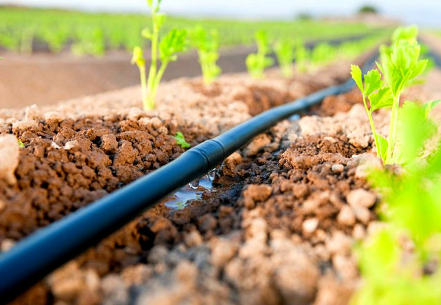 Крапельний полив 100/50см 16мм багаторічний з емітером. (Крапельна трубка)., фото 1