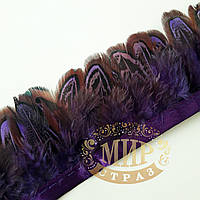 Тасьма перова з пера фазана, колір Purple, 0,5 м, висота 5,5 см