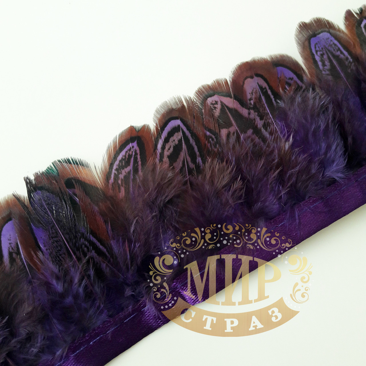 Тесьма перьевая из пера фазана, цвет Purple, 0,5м, высота 5,5 см - фото 1 - id-p752354684