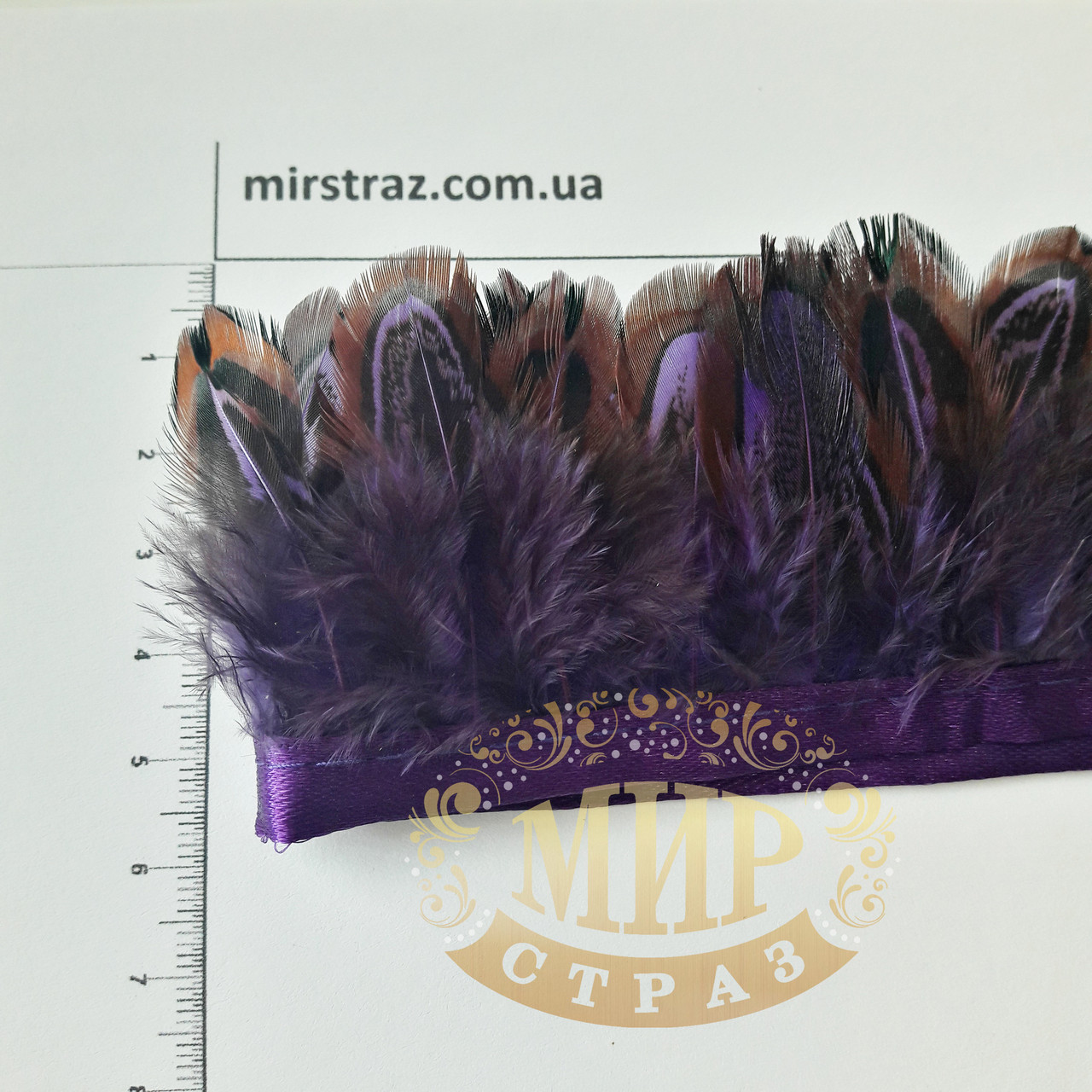 Тесьма перьевая из пера фазана, цвет Purple, 0,5м, высота 5,5 см - фото 2 - id-p752354684