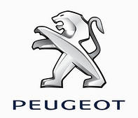 Чохли на сидіння Пежо (Peugeot) з екошкіри