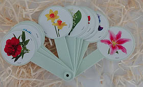 Віяло Квіти 76646 Козлов ФОП Україна