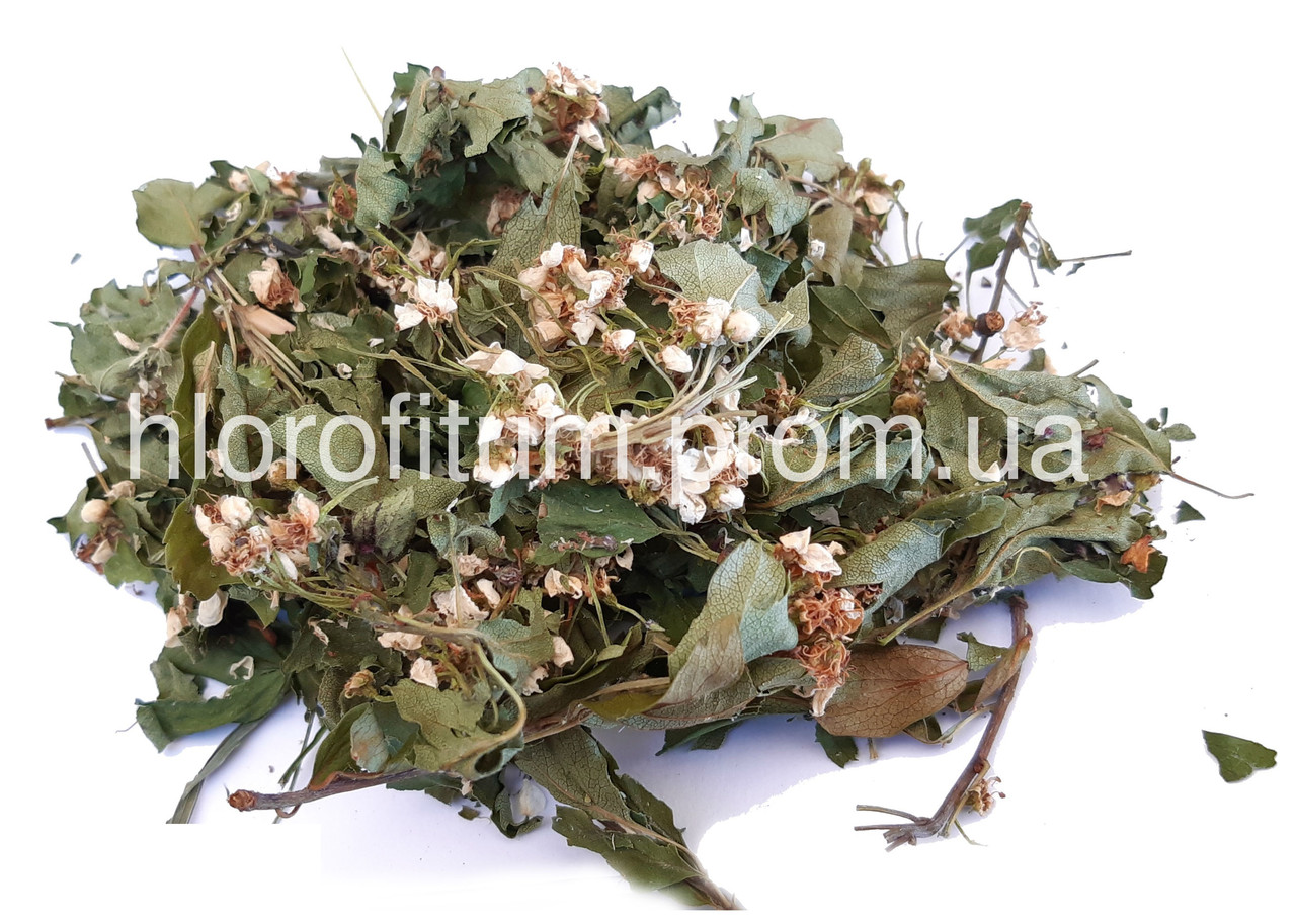 Глід квітки 100г