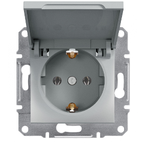 Розетка з заземленням з кришкою ASFORA Алюміній Schneider Electric EPH3100161, фото 1