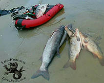 Буй, Плот LionFish.sub для Подводной Охоты, Дайвинга, Фридайвинга 