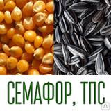 Протравник Семафор