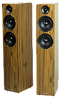 Огляд Acoustic Energy АЕ109