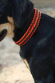 Нашийник з паракорда "Здвоєна Кобра"