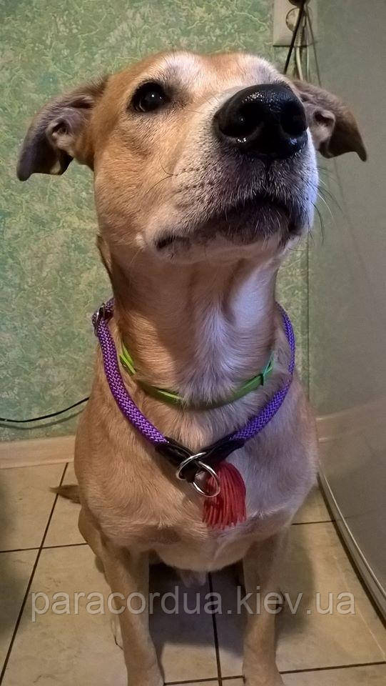 Ошейник из паракорда "Удавка Штопор"